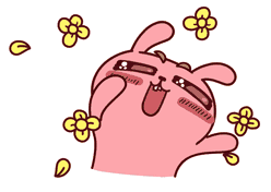timg.gif